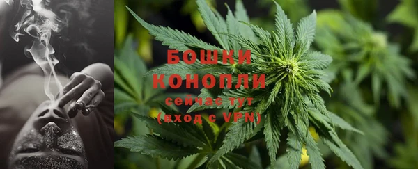 трава Белокуриха