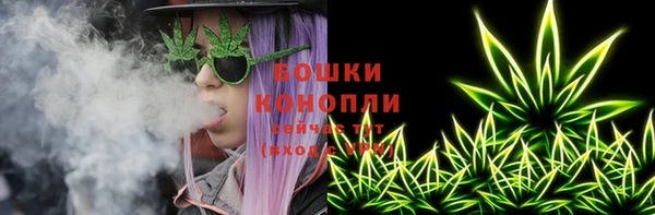 индика Белоозёрский