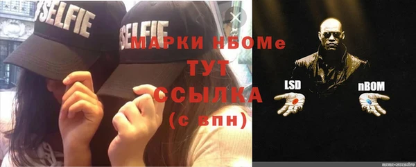 индика Белоозёрский