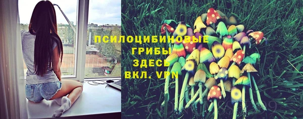 индика Белоозёрский