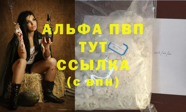 трава Белокуриха